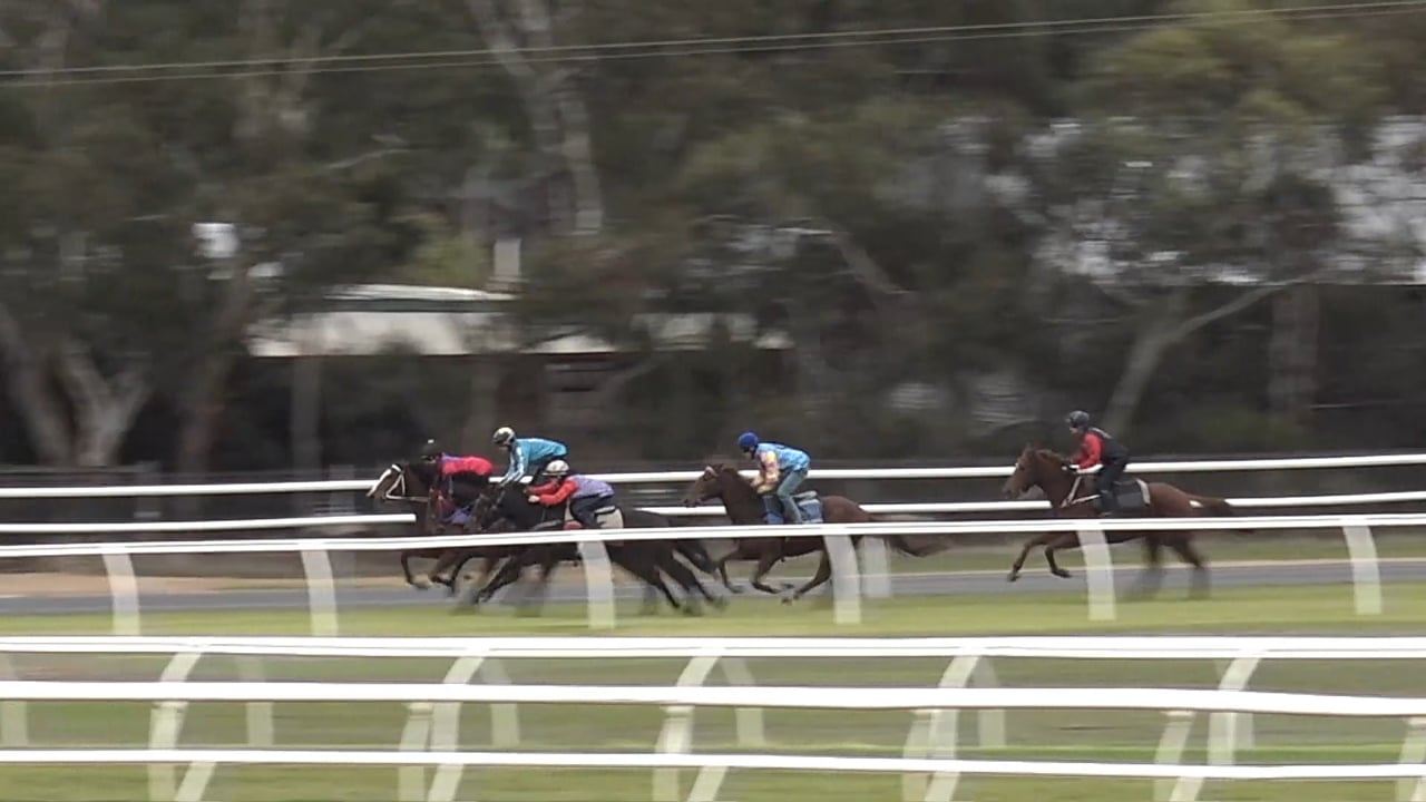 03/06/2025 Strathalbyn • Racing SA