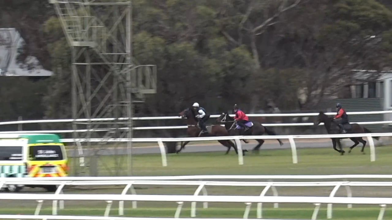 03/06/2025 Strathalbyn • Racing SA