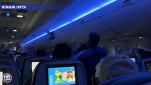 Pigeon Invades Flight