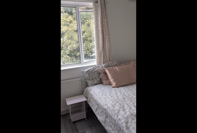 Video 1: