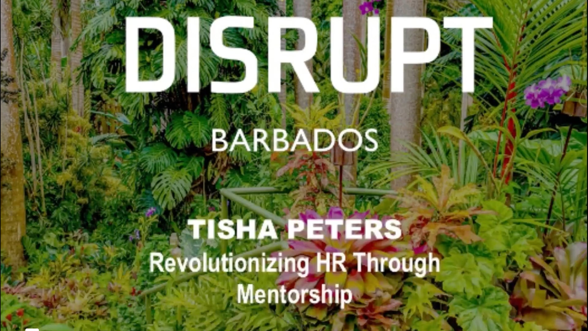 Revolutionizing HR Through Mentorship | Tisha Peters | DisruptHR Talks