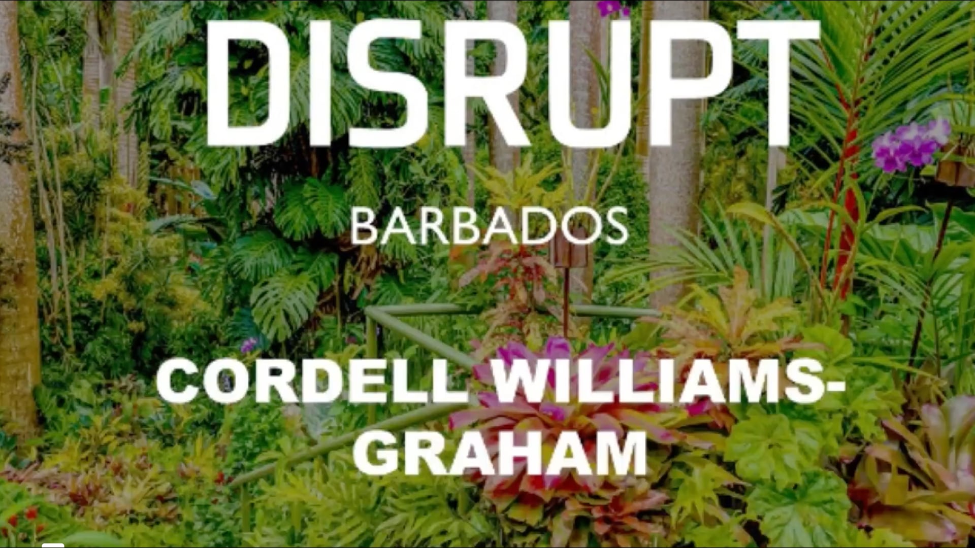 A People-Centred Approach to Change: Key to Driving a Productive and Innovative Caribbean Culture | Cordell Williams-Graham | Di