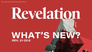 Related Embedded Video Item Thumbnail