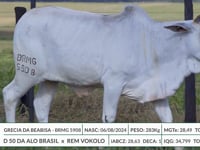 Lote 02