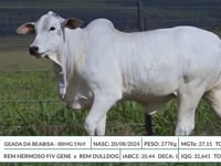 Lote 05