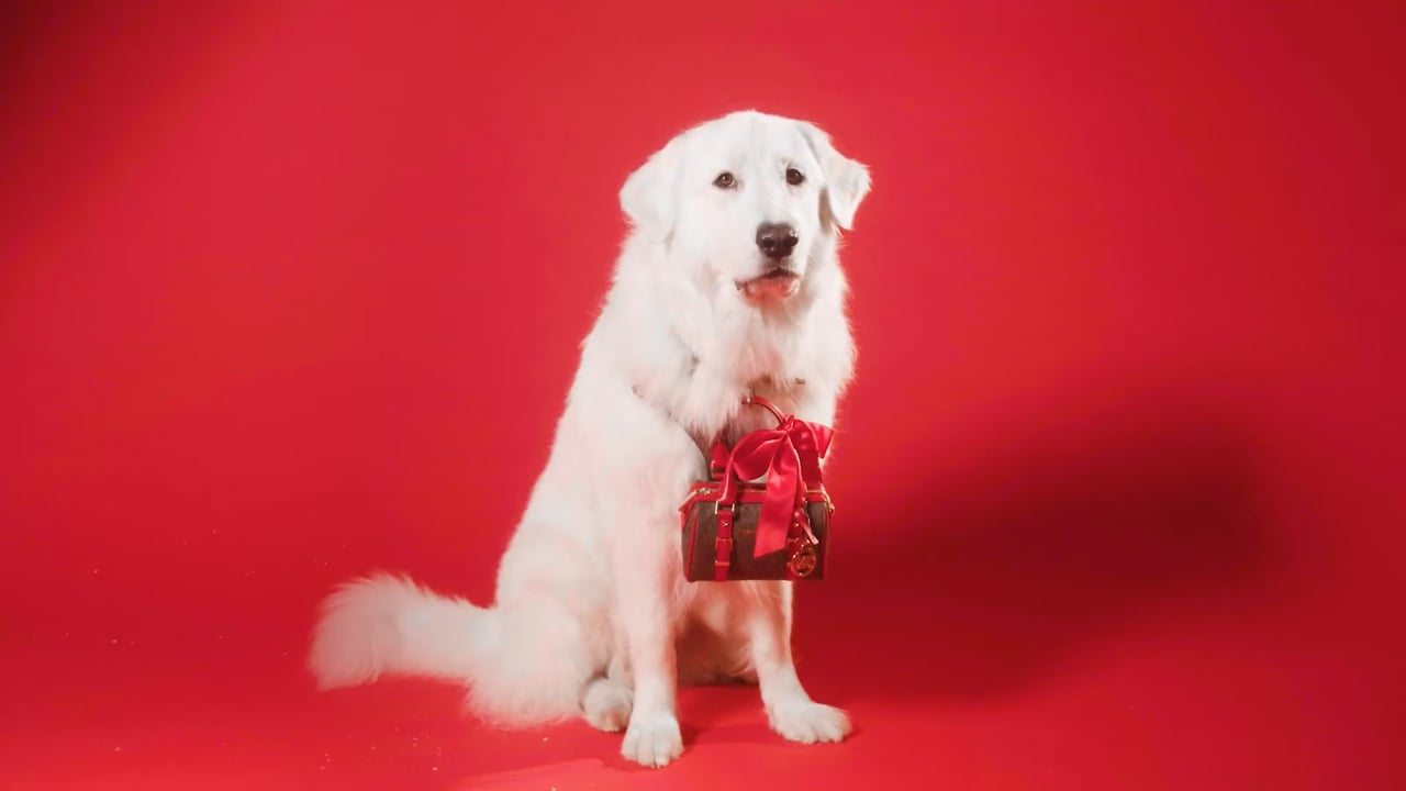 Holiday Magic ✨ _ Holiday 2019