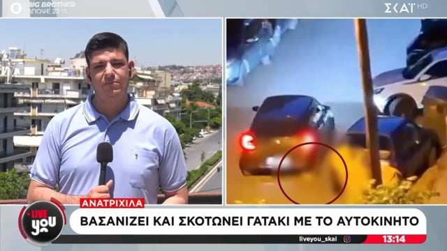 Καλαμαριά Θεσσαλονίκης Κλώτσησε γάτα και μετά την έλιωσε με το αυτοκίνητο του 3-6-2025