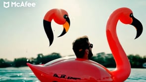 Related Embedded Video Item Thumbnail