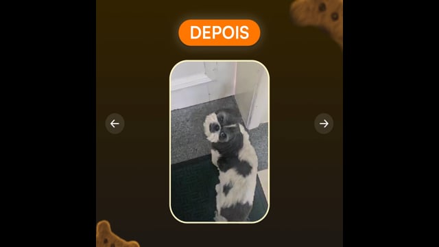 Condropure Articulações e Mobilidade