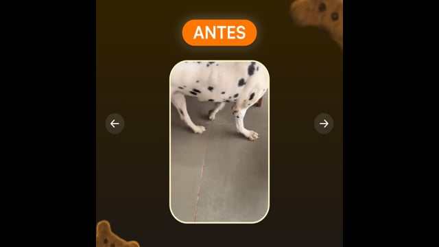 Condropure Articulações e Mobilidade