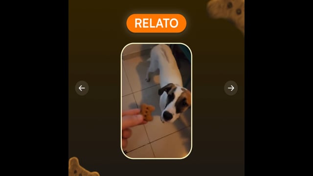 Condropure Articulações e Mobilidade