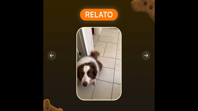 Condropure Articulações e Mobilidade