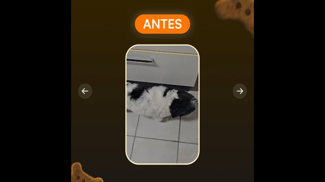 Condropure Articulações e Mobilidade