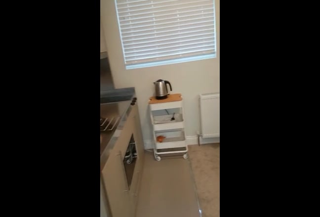 Video 1: