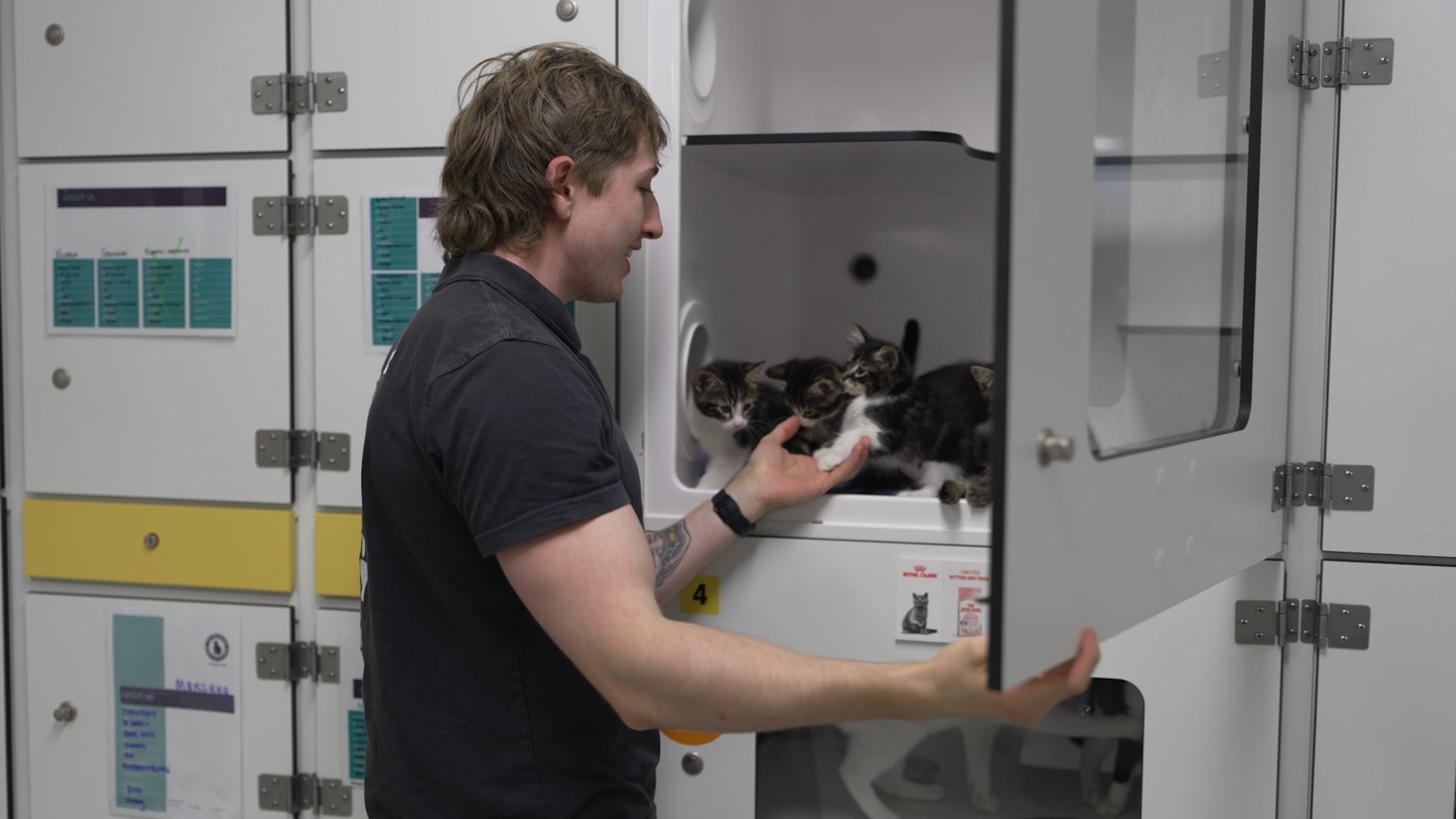 Meet The Cat Protection Society of Victoria | Caring for Cats ...