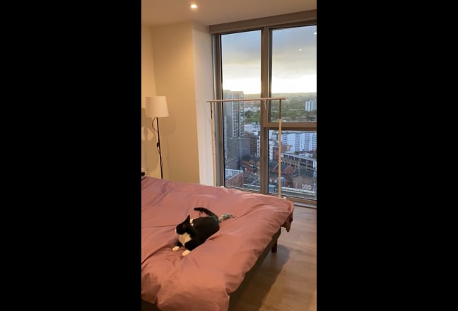 Spacious room for rent in 2b2b Rivierview apartmen Main Photo