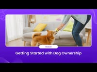 Module 1: Getting Started with Dog Ownership