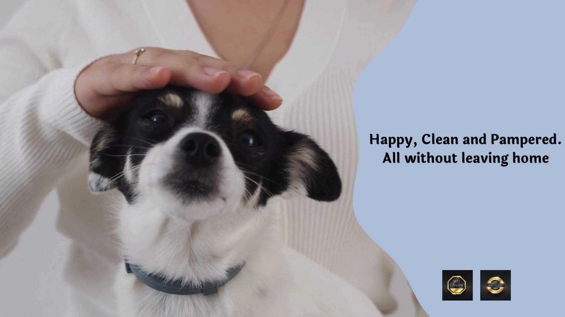 Puppy Pampers Grooming cover