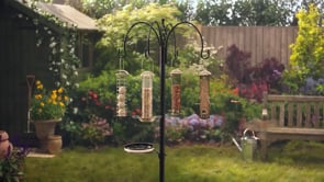 Gardman sponsorship video for Good Morning Britain copy