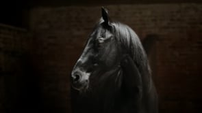 Lloyds Share Offer TVC