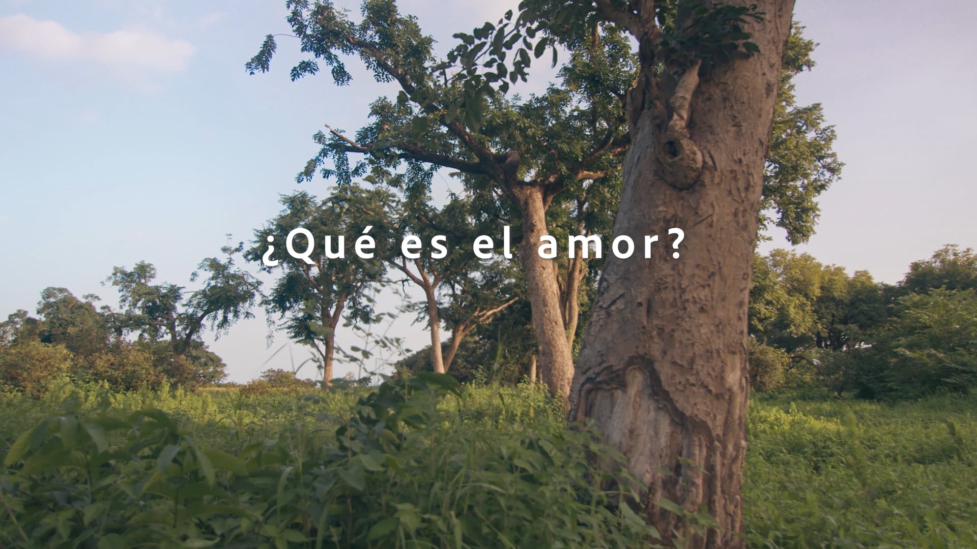 BARUMA trailer
