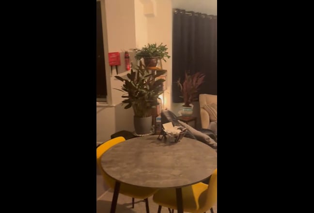 Video 1: Vibrant and Modern Design