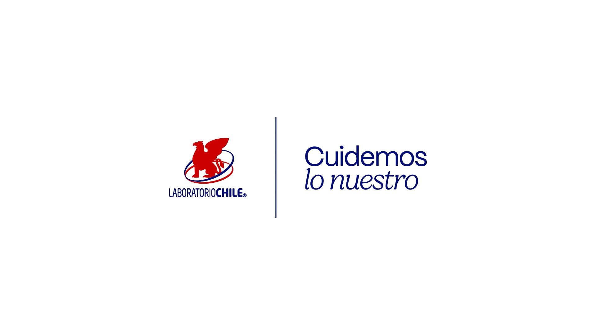 Laboratorio Chile, Cuidemos lo nuestro