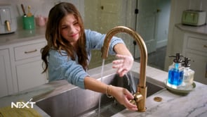 NXT2500630- KitchenFountain