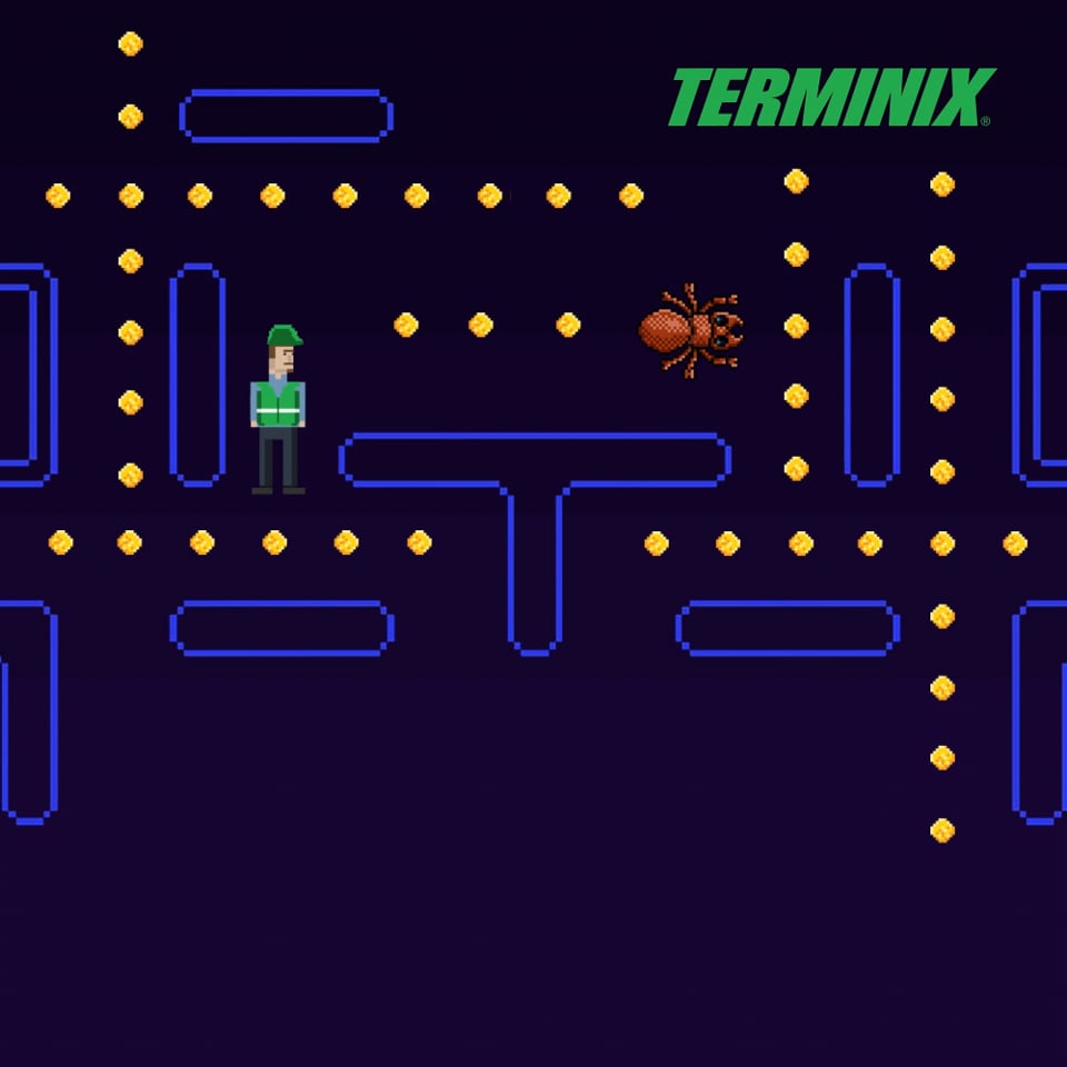 TERMINIX - Game Over