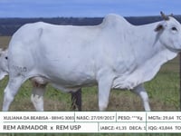 Lote ASP 2025 - BRMG 3085