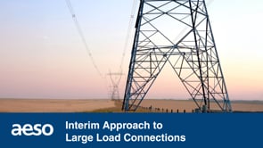 Phase I: Large Load Intergration information media session recording (posted June 4 2025)