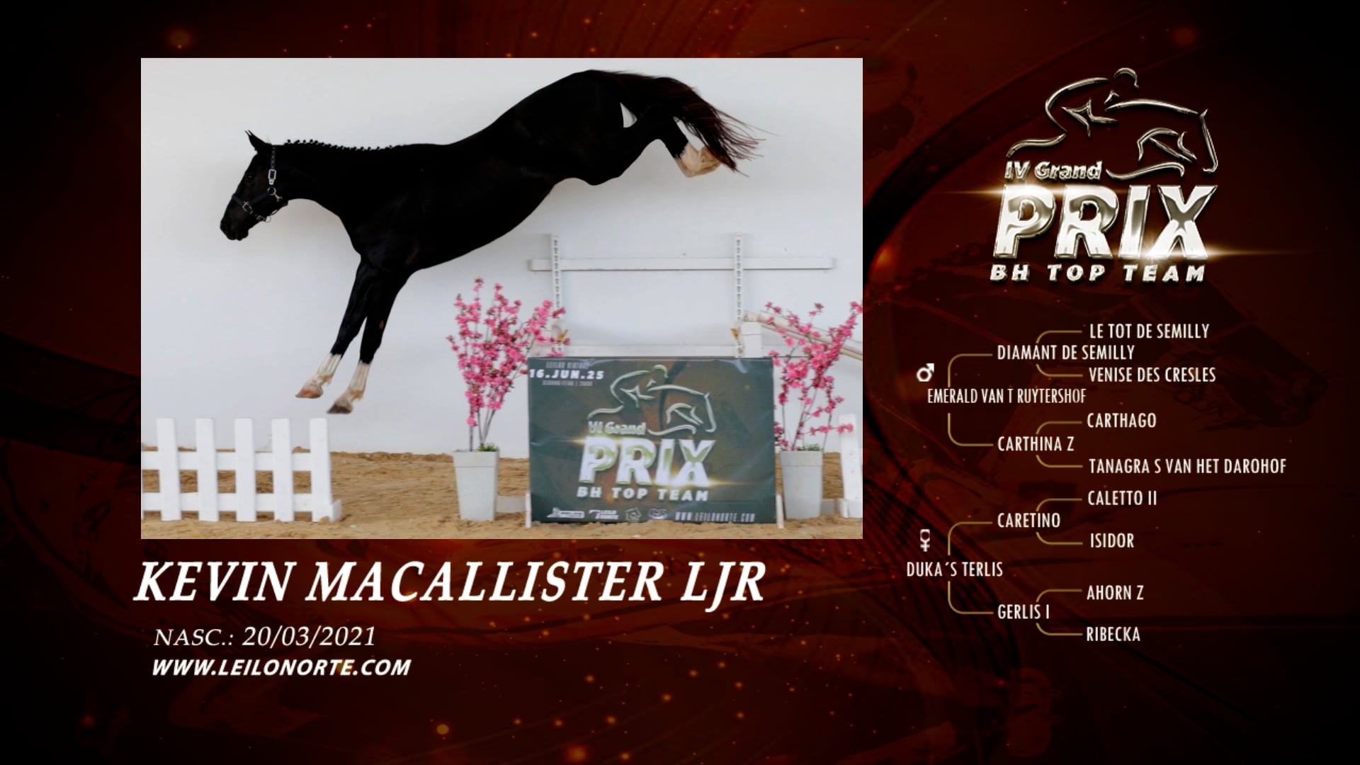 LT 11_KEVIN MACALLISTER