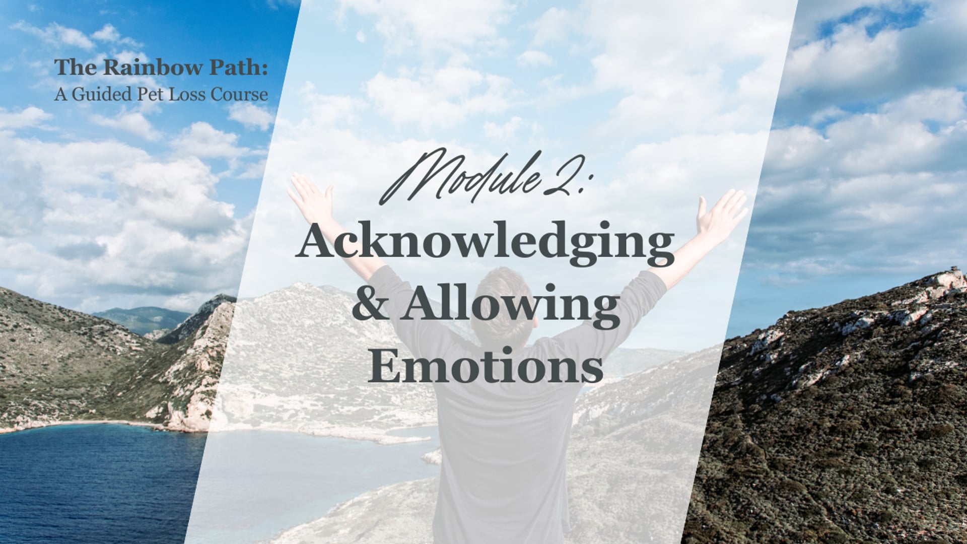 Module 2 - Acknowledging & Allowing Emotions