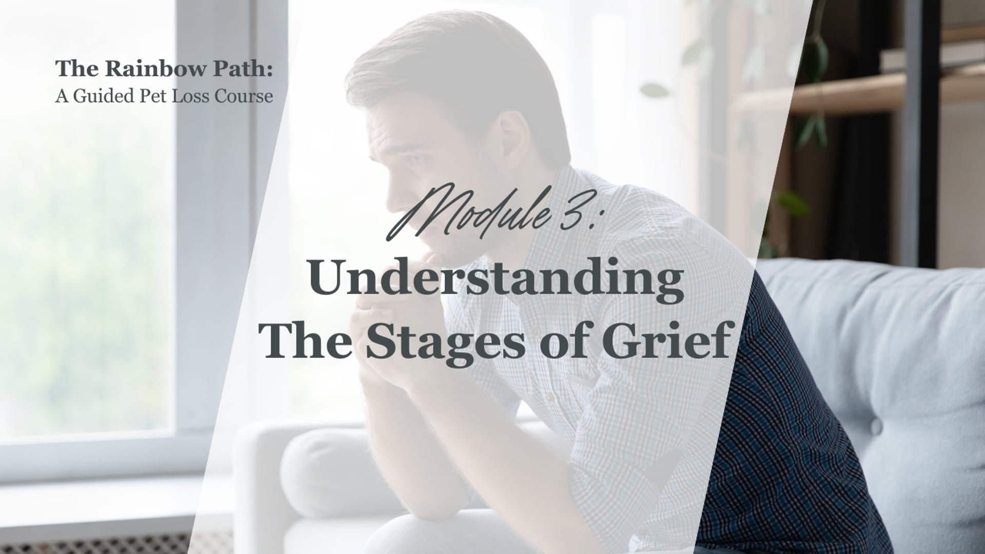 Module 3 - Understanding The Stages of Grief