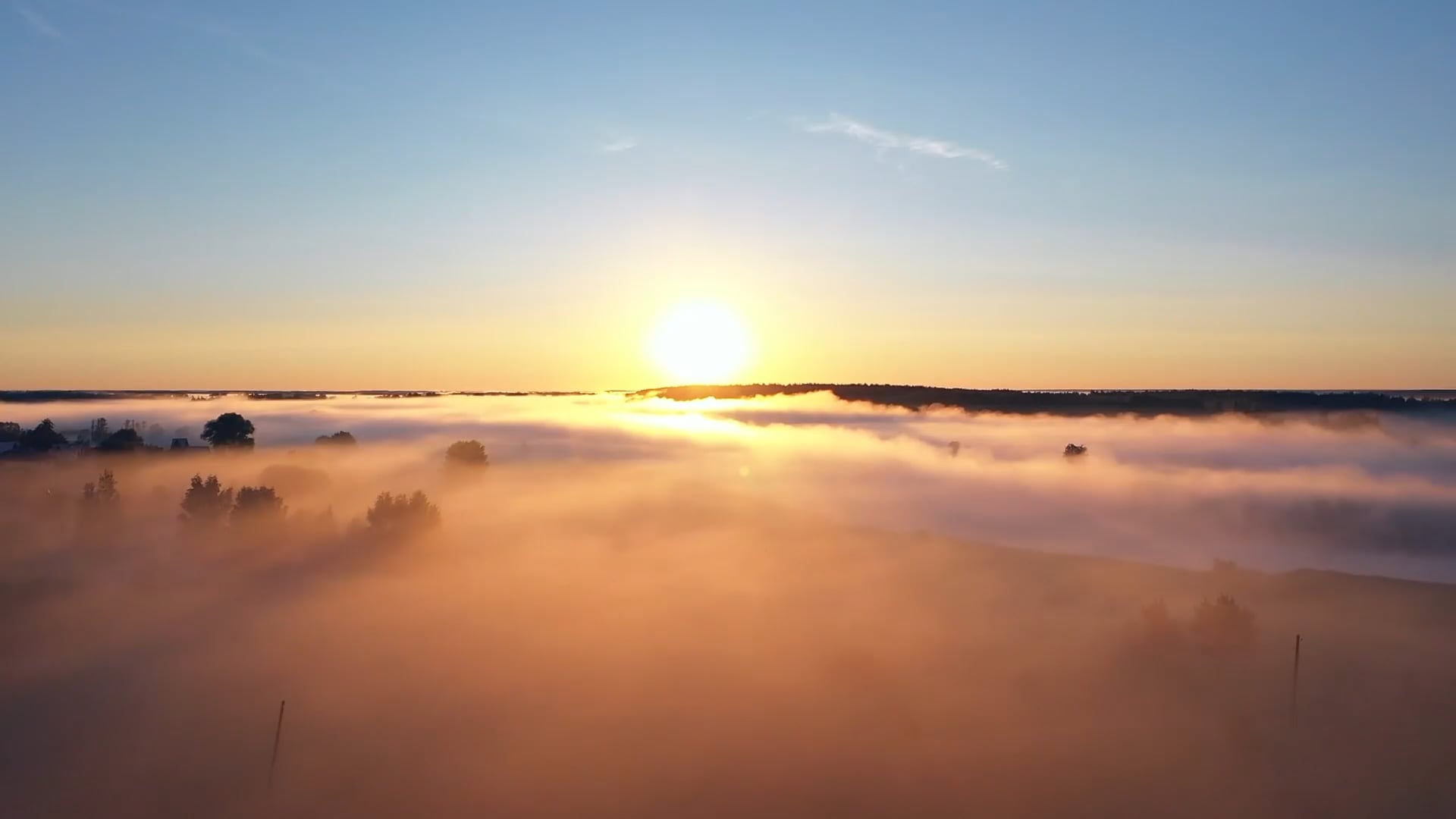 https://i.vimeocdn.com/video/2023327703-eea847581cc6ab53ef89f9d05a6bf79911a5c5a9fa4791dbcf6d49d7ff59f62a-d