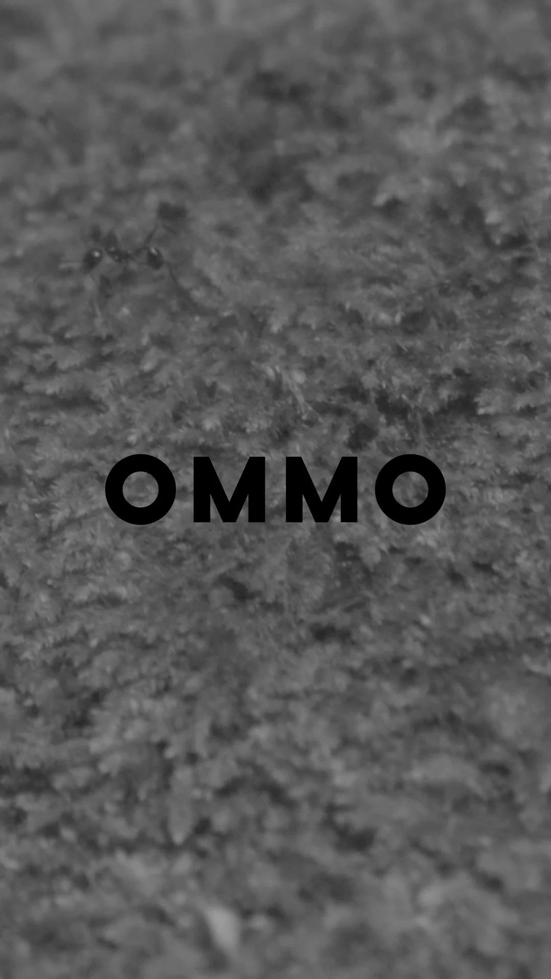 yukichar さま専用！OMMO オールインワン OMMO ONLINE STORE / TUCK BUSTIER ALL IN ONE