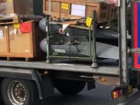 New_Items_Arrived!!!