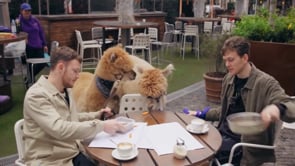 Urban_Paws_Agency_Showreel