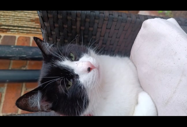 Double Room in Gosforth - quiet area & housemates Main Photo