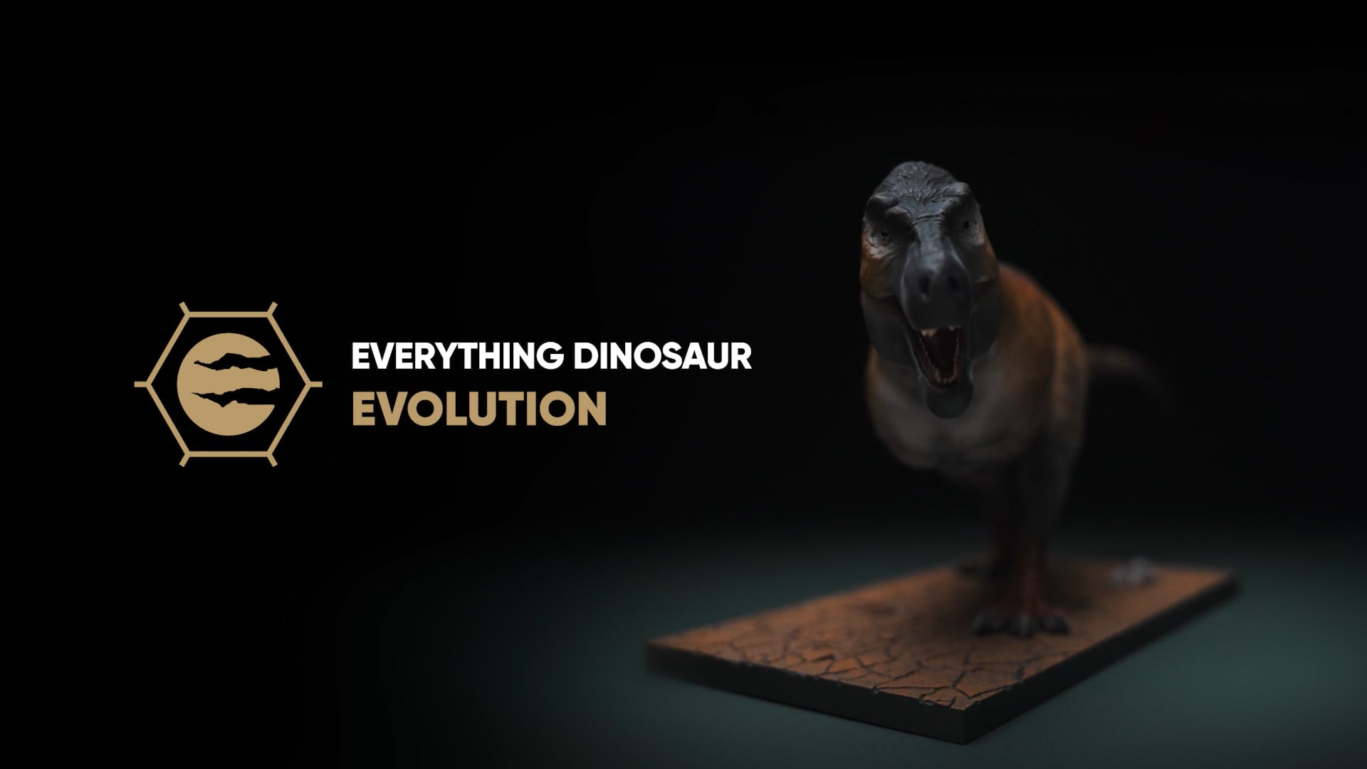 Brand Launch | Everything Dinosaur Evolution