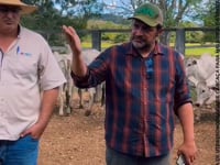 Vídeo 1<br>Fechamento da 7a e 8a PGP a Pasto da Fazenda Timbós.  Juntamente com Alunos de Zootecnia da UESP- PI. Pesagem, CE, EPMURAS e Ultrassonografia de Carcaça dos animais para o 5o Leilao em 2026.
