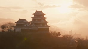 Related Embedded Video Item Thumbnail