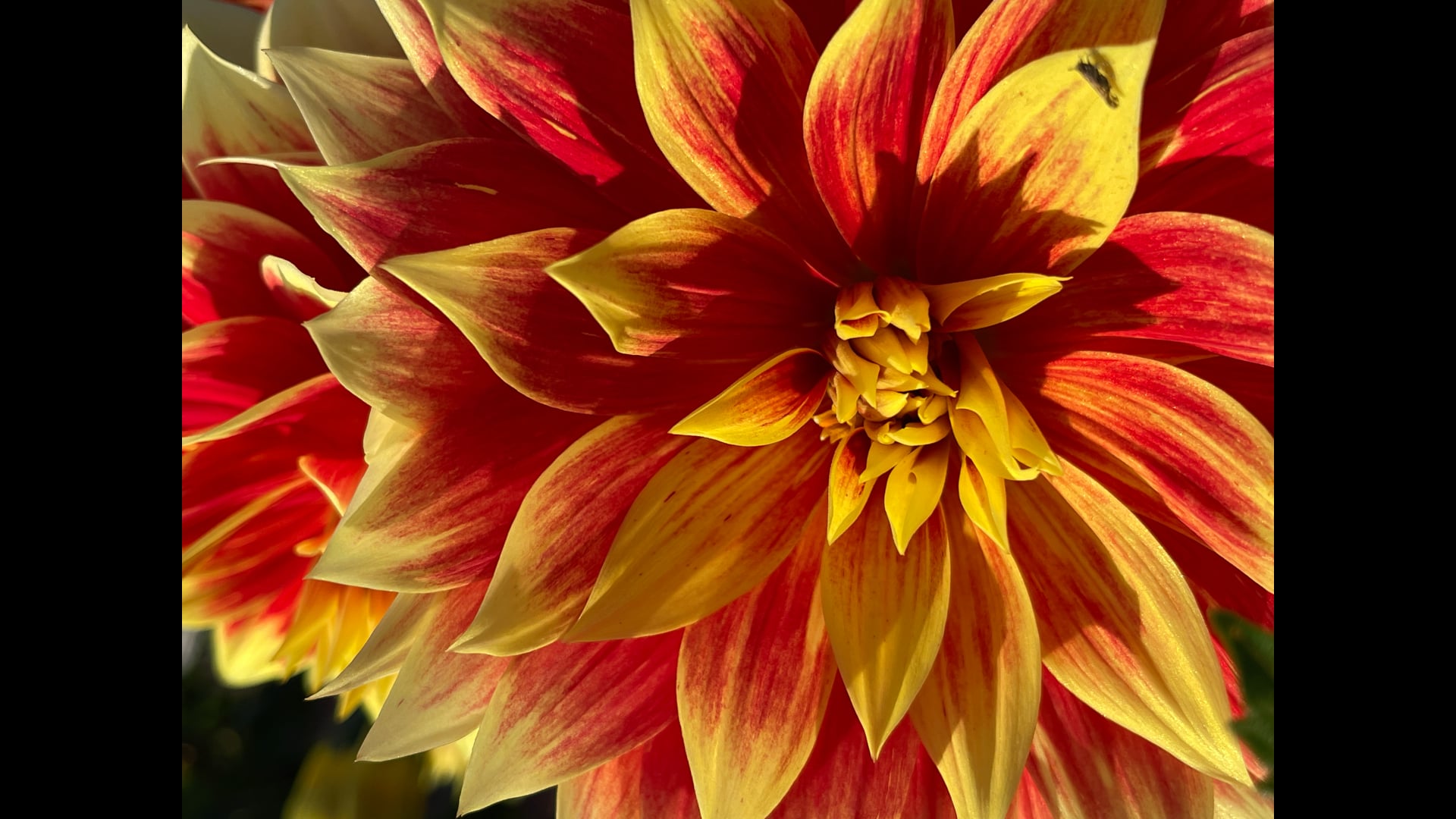 2025 May 28: Seven Factors Review & the Factor of Equanimity