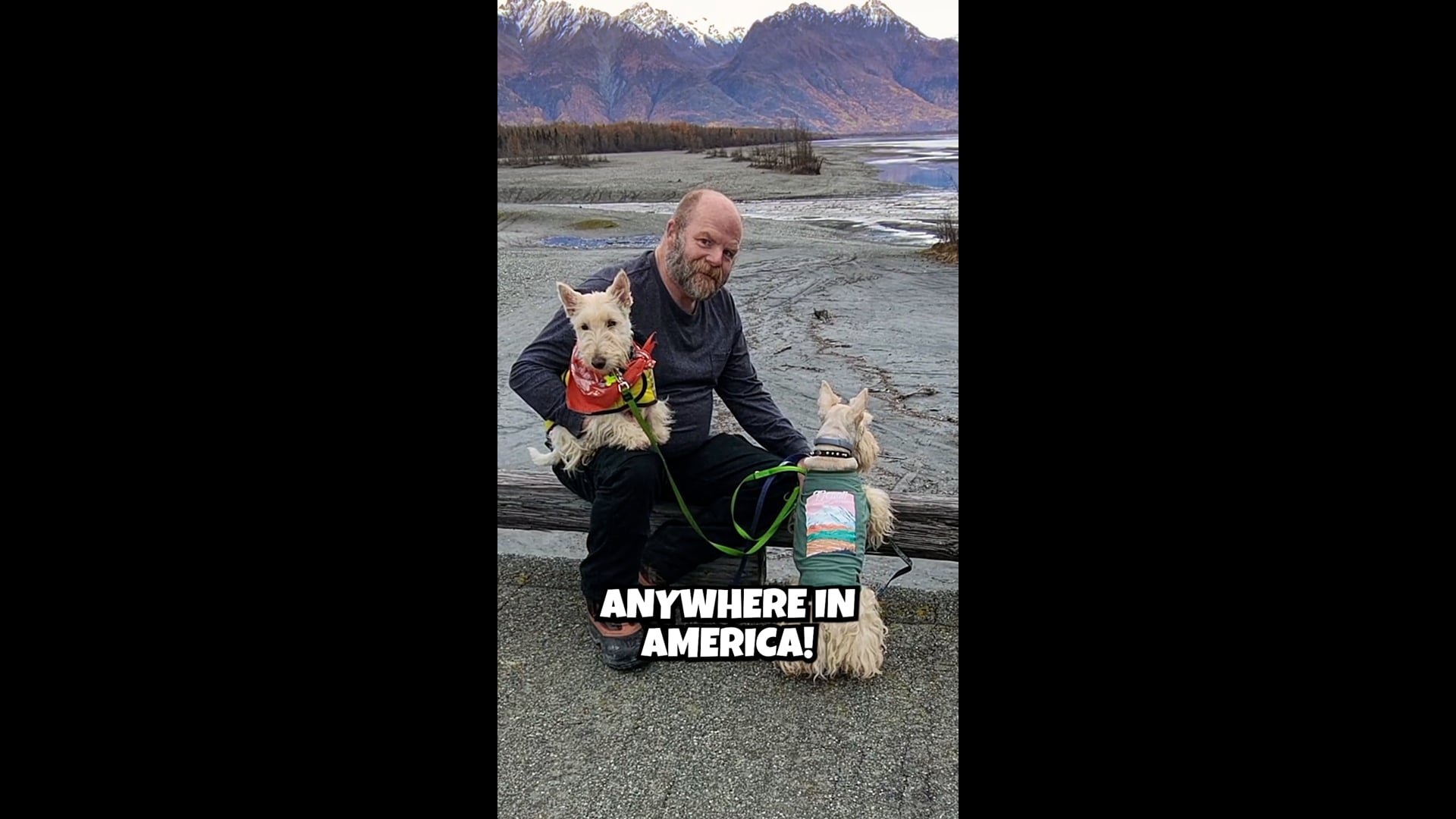 Short-form Ad: On Location x Pawtopia - Elevated UGC