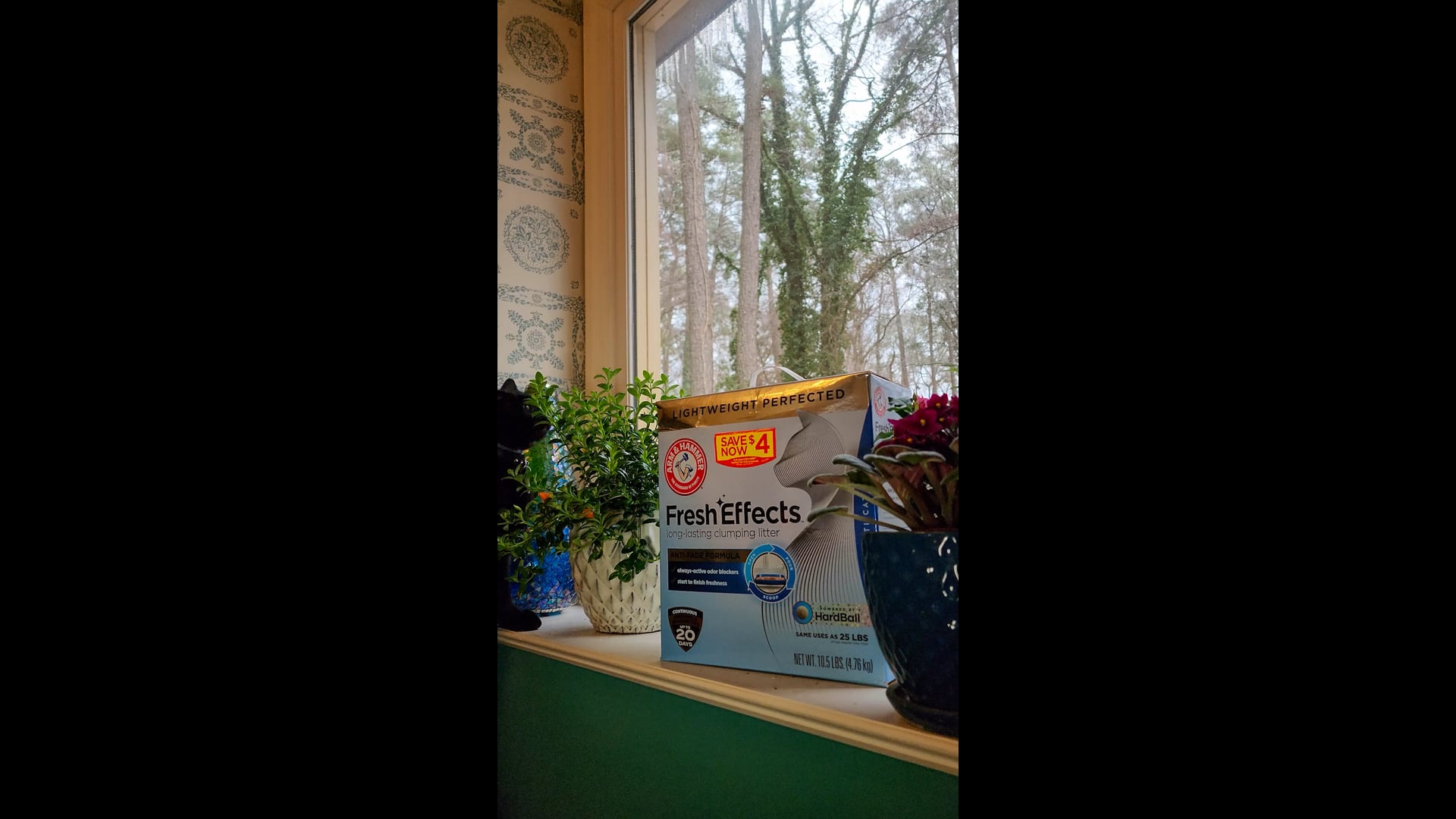 Short-form Ad: On Location x "Fresh Effects" Arm & Hammer Cat Litter - Standard UGC