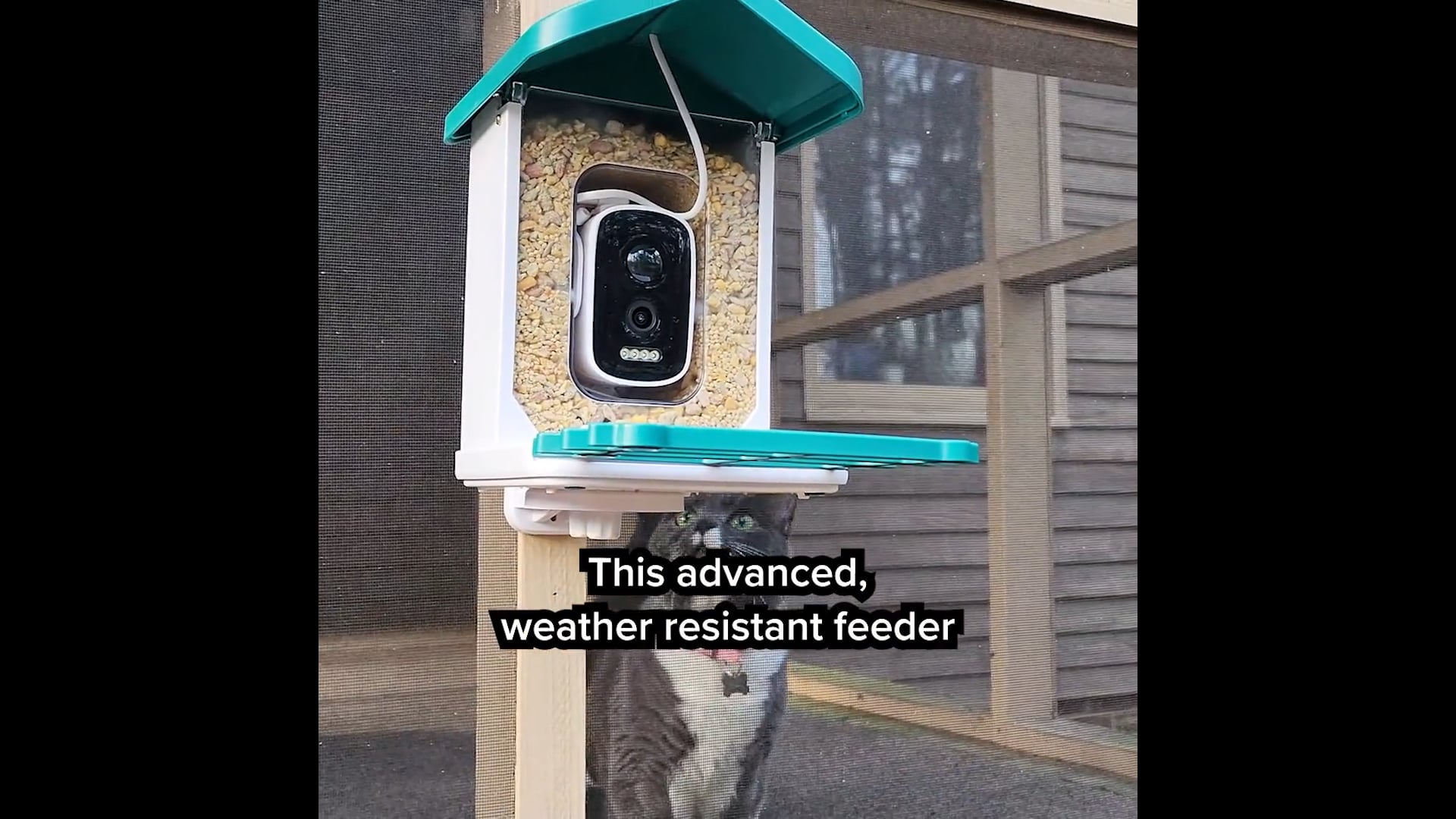 Short-form Ad: On Location x Happy Birdy Bird Feeder - Standard UGC