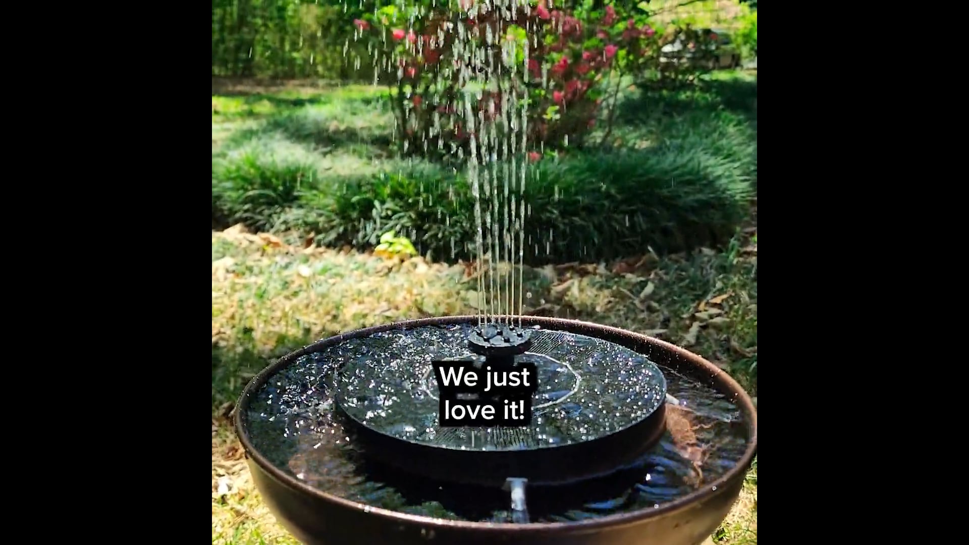 Short-form Ad: On Location x Solar Splash Fountain - Standard UGC