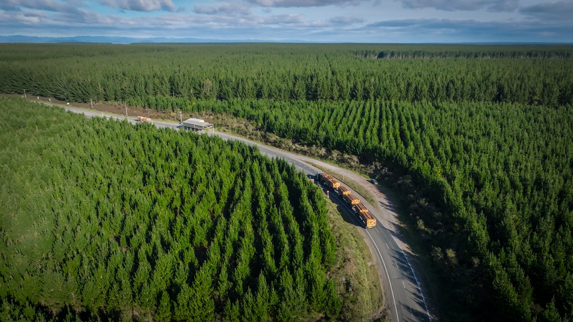 Kaingaroa Forest Security Gates