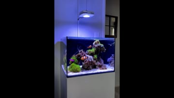 Studio Complete Saltwater Aquarium Kit