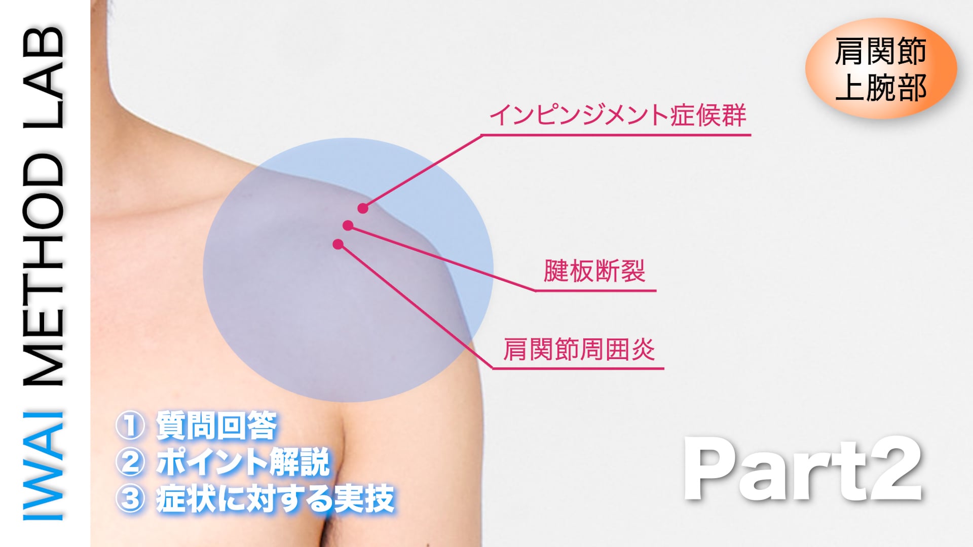 オンライン実技講習：肩関節・上腕部におこる症状・タイプ別テクニック Part.2